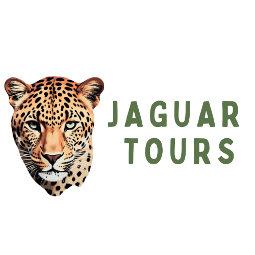 Amazon Jaguar Tours